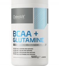 OSTROVIT BCAA + GLUTAMINE 500gram