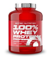 SCITEC 100% Whey Protein Professional 500 g